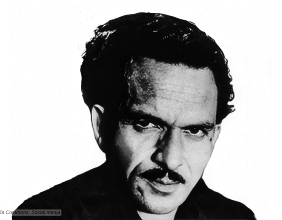 Wajahat Mirza