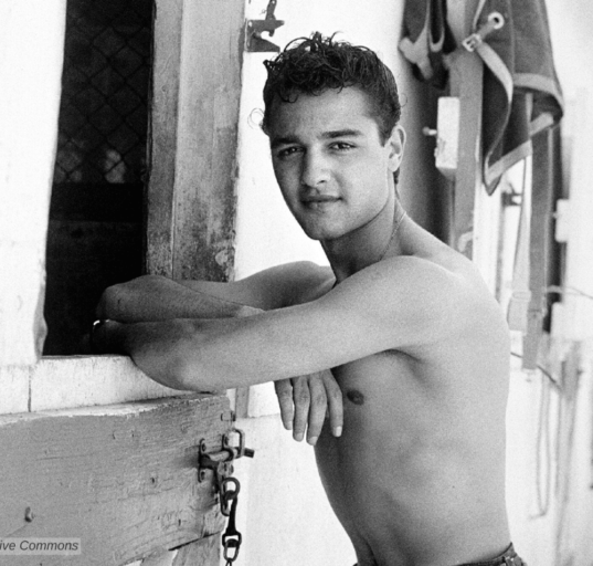 Sal Mineo
